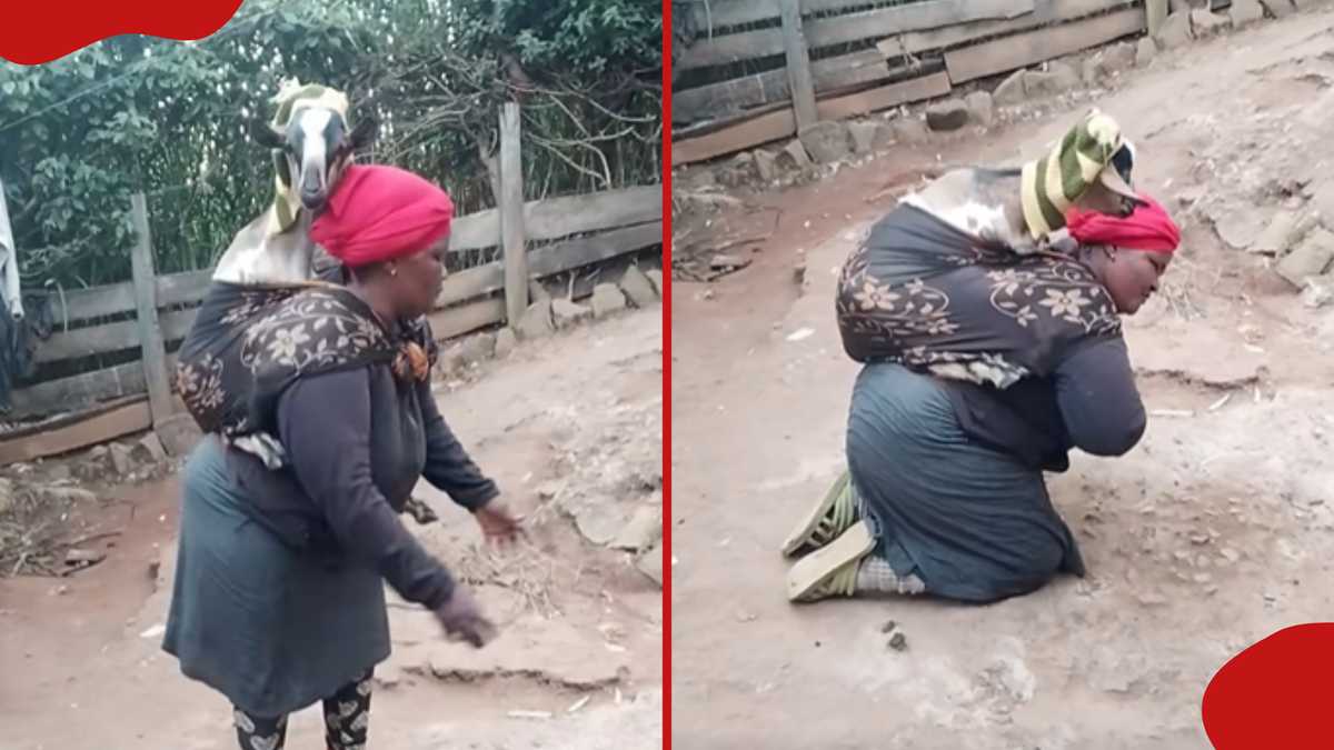 Kenyan Woman Dances with Goat, Sparking Online Laughter