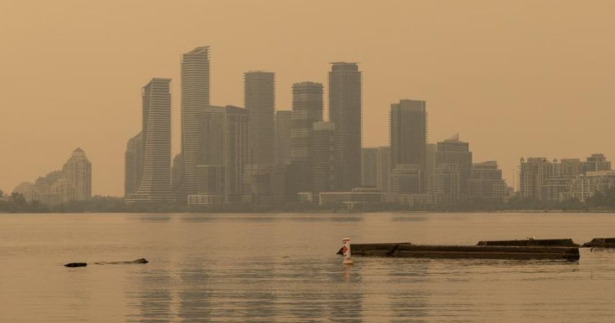 Incendios forestales afectan la final del Mundial entre Argentina y España