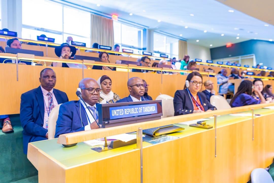 Tanzania Recognized for Sustainable Development Progress in UN Forum