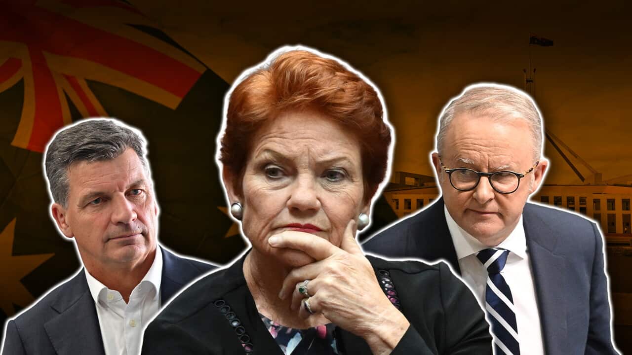 Albanese challenges Taylor on One Nation ties amid Islamophobia debate