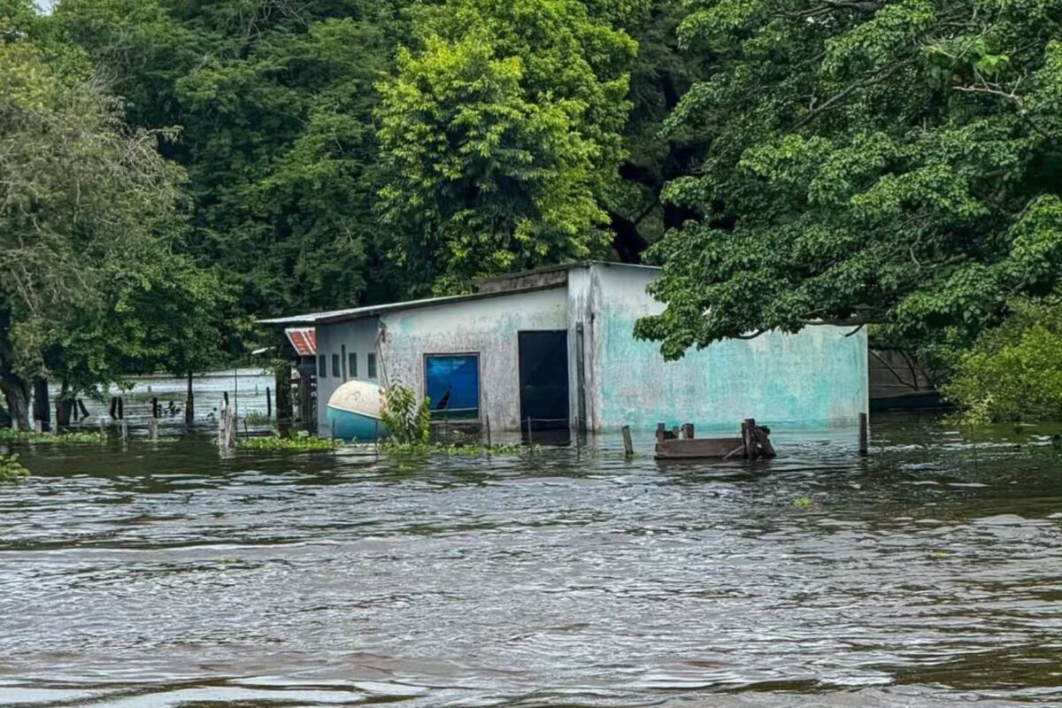 Alerta por inundaciones en Apure y Amazonas: 1.865 familias afectadas