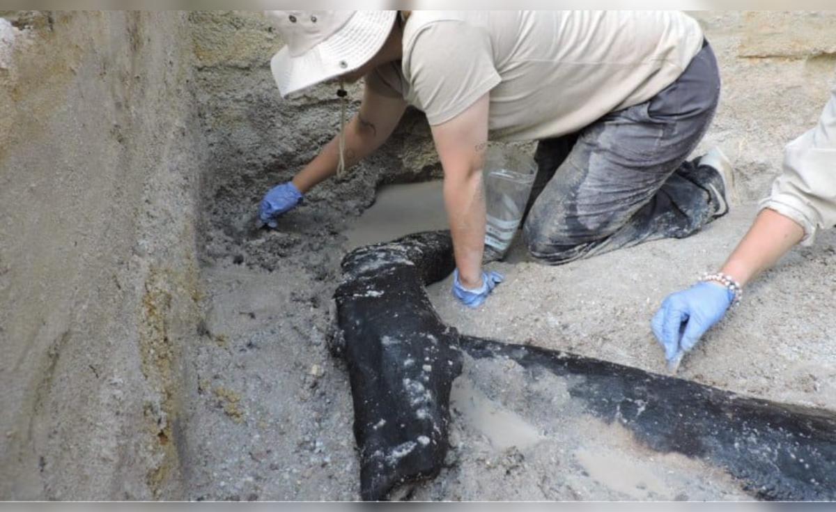 Arqueólogos descubren estructura de madera antigua en Perú