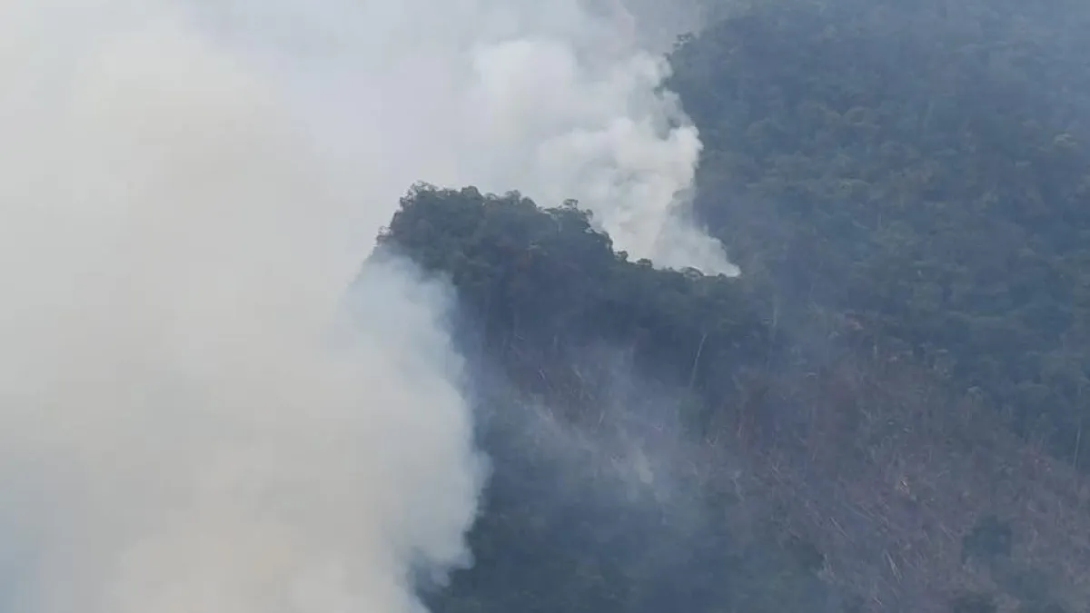 Incendio forestal en Santander: 50 hectáreas de bosque virgen consumidas en El Peñón