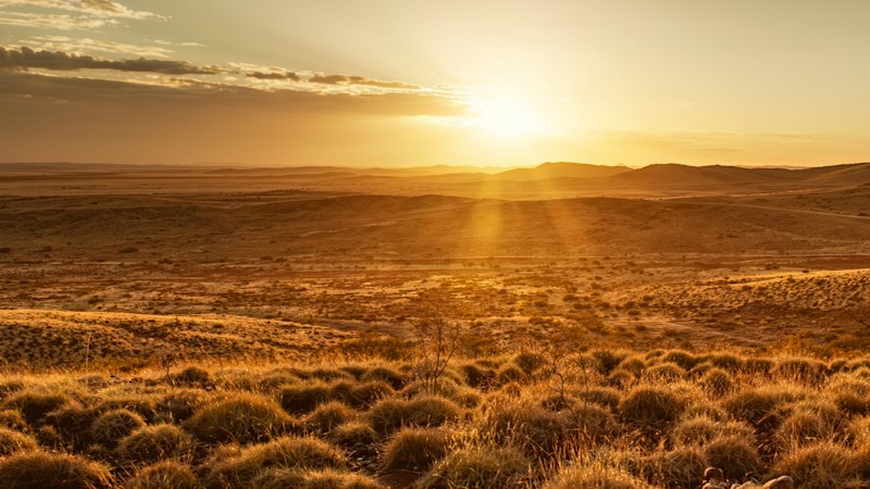Golden Dragon identifies 3km gold corridor in WA with promising drilling results