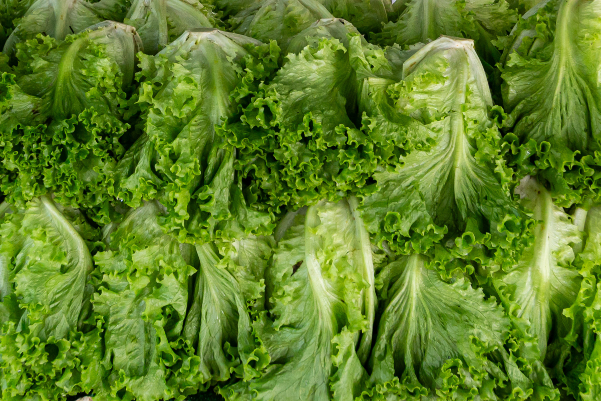 México advierte sobre brote de diarrea por parásito alimentario en Estados Unidos