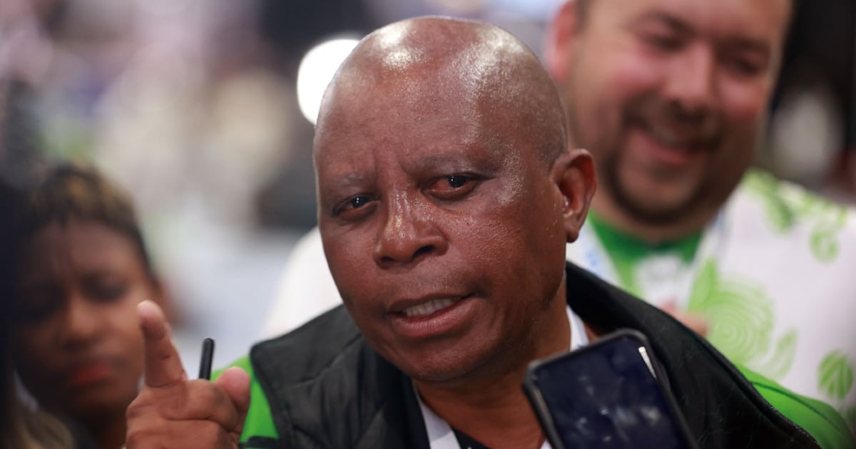 Section 89 Committee Reviews ActionSA's Phala Phala Evidence in Impeachment Inquiry