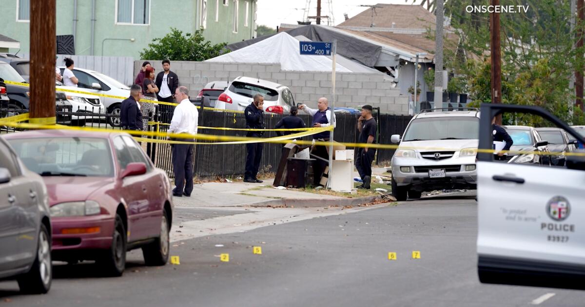 Tragic shooting kills young mother in South L.A., leaves infant's future uncertain