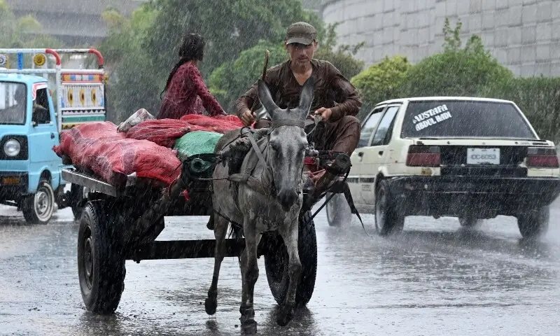 Monsoon-related fatalities and infrastructure damage in KP reach 18