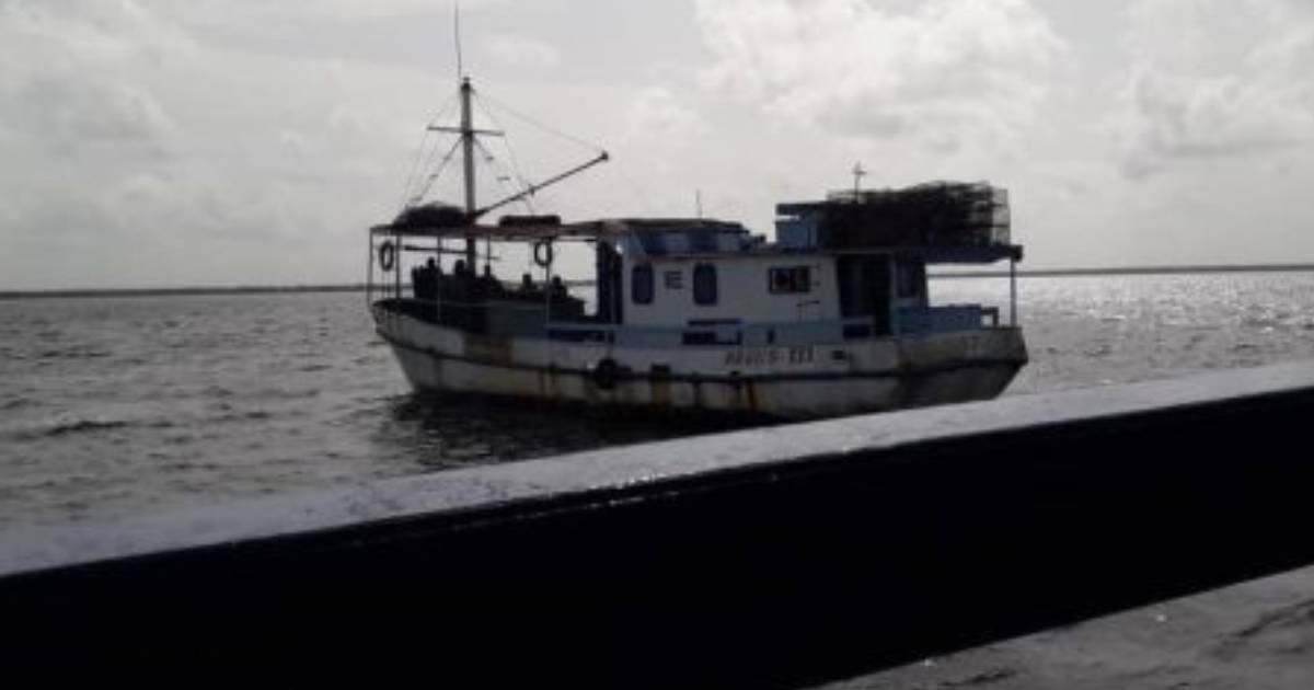 Régimen inicia temporada de langostas para revitalizar economía, pero cubanos no acceden al producto