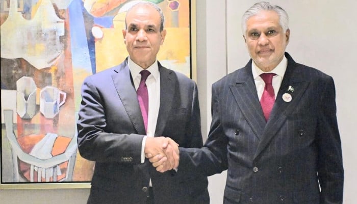 Pakistan and Egypt Commit to Peaceful Resolution of Middle East Tensions