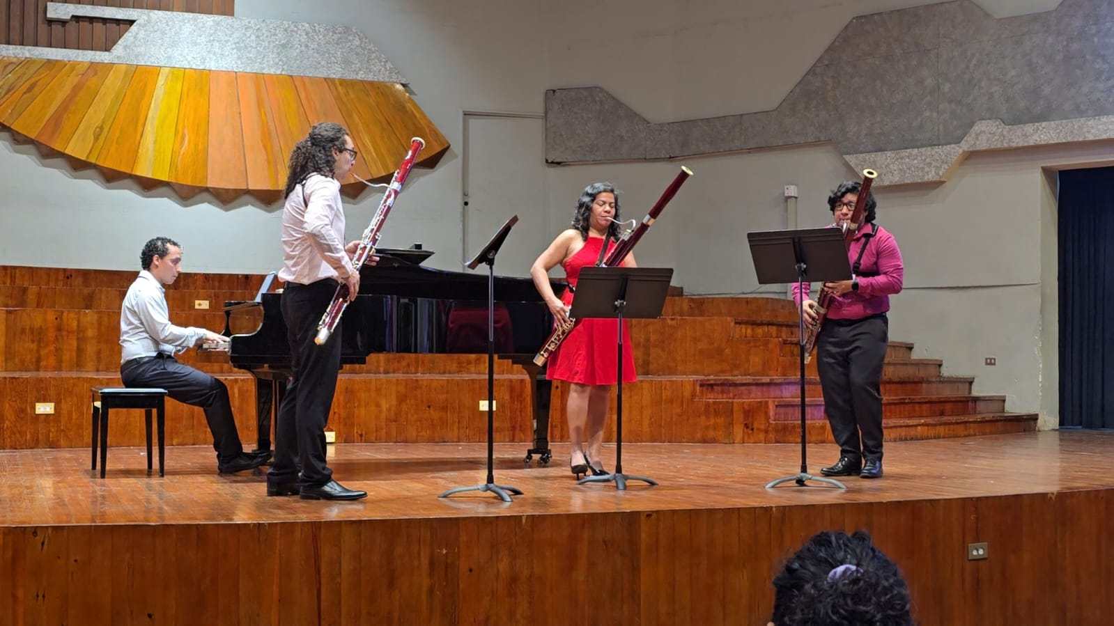 Concierto de fagot y piano en la Noche de Música de Cámara