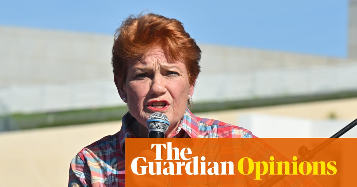 Pauline Hanson's Remarks on Domestic Violence Risk Women's Safety