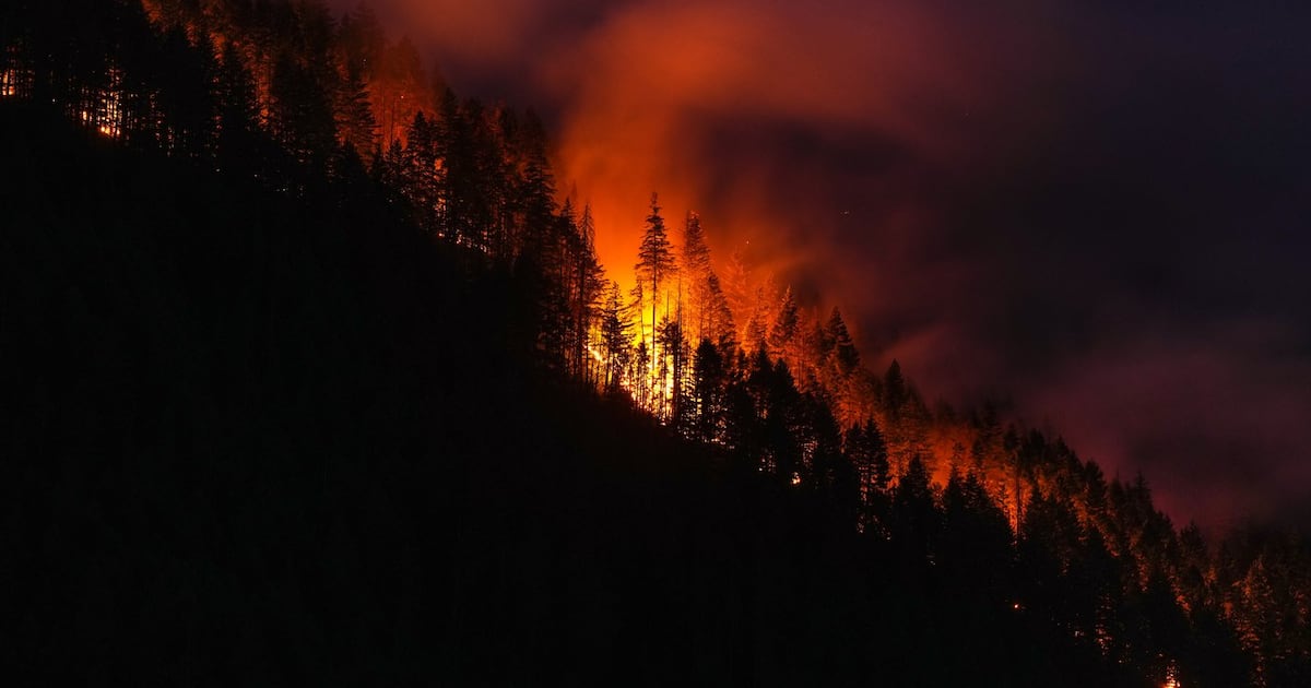 Wildfire in British Columbia Sparks Evacuations and Evacuation Alerts