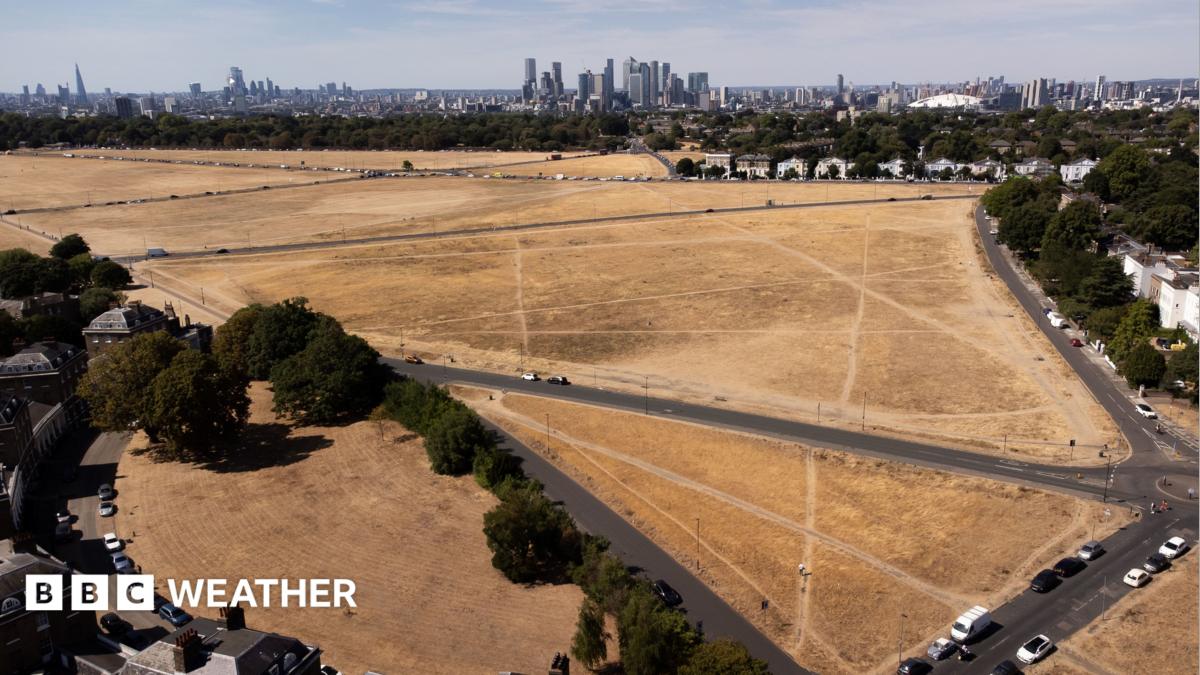Drought warnings persist as UK braces for weekend rainfall