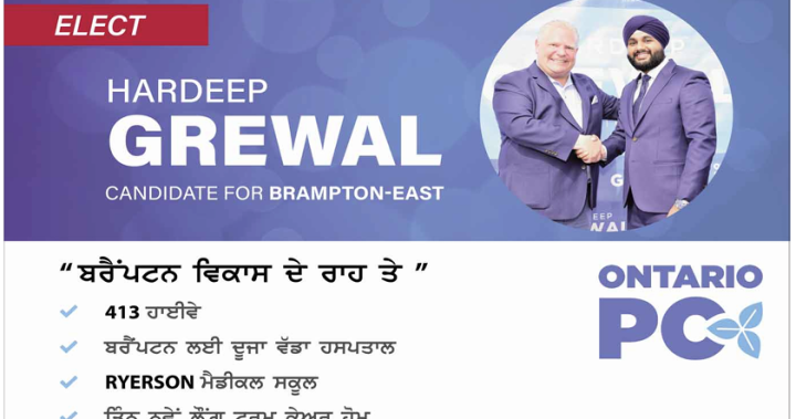 Brampton MPP faces election finance probe over undeclared family newspaper ads and hotel expenses
