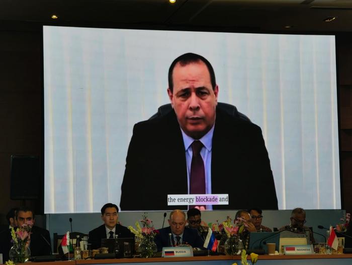 Cuba Condena el Bloqueo de EE.UU. en Reunión BRICS de Salud
