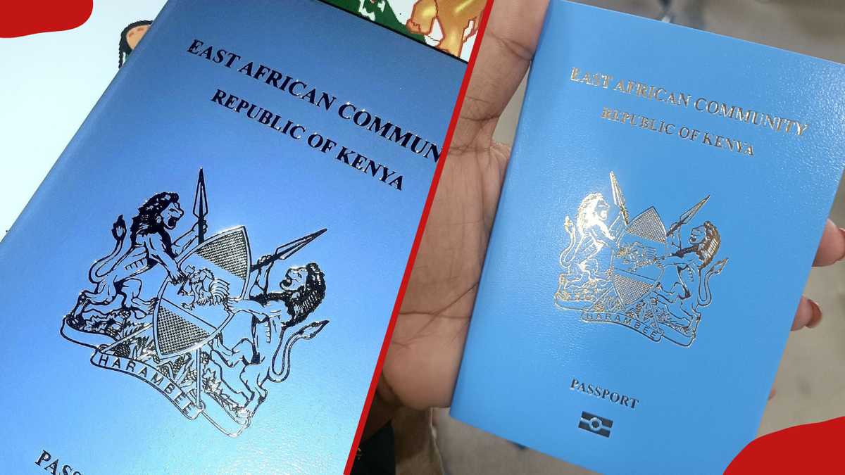 Kenyan Passports: Tracking Methods and Key Information