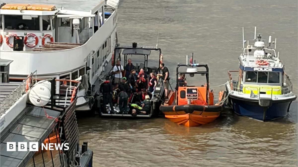Five police officers injured after boat collision with Westminster Bridge
