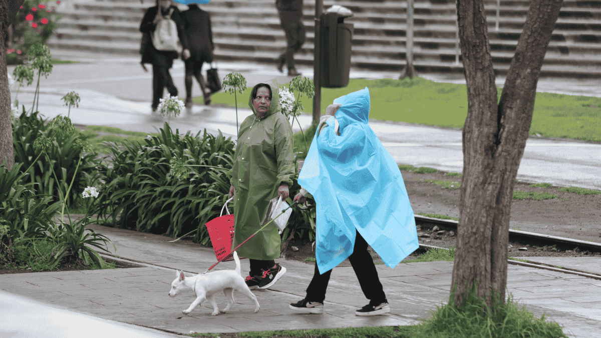 Lluvias intensas en 32 estados por onda tropical y monzón; alertas por inundaciones