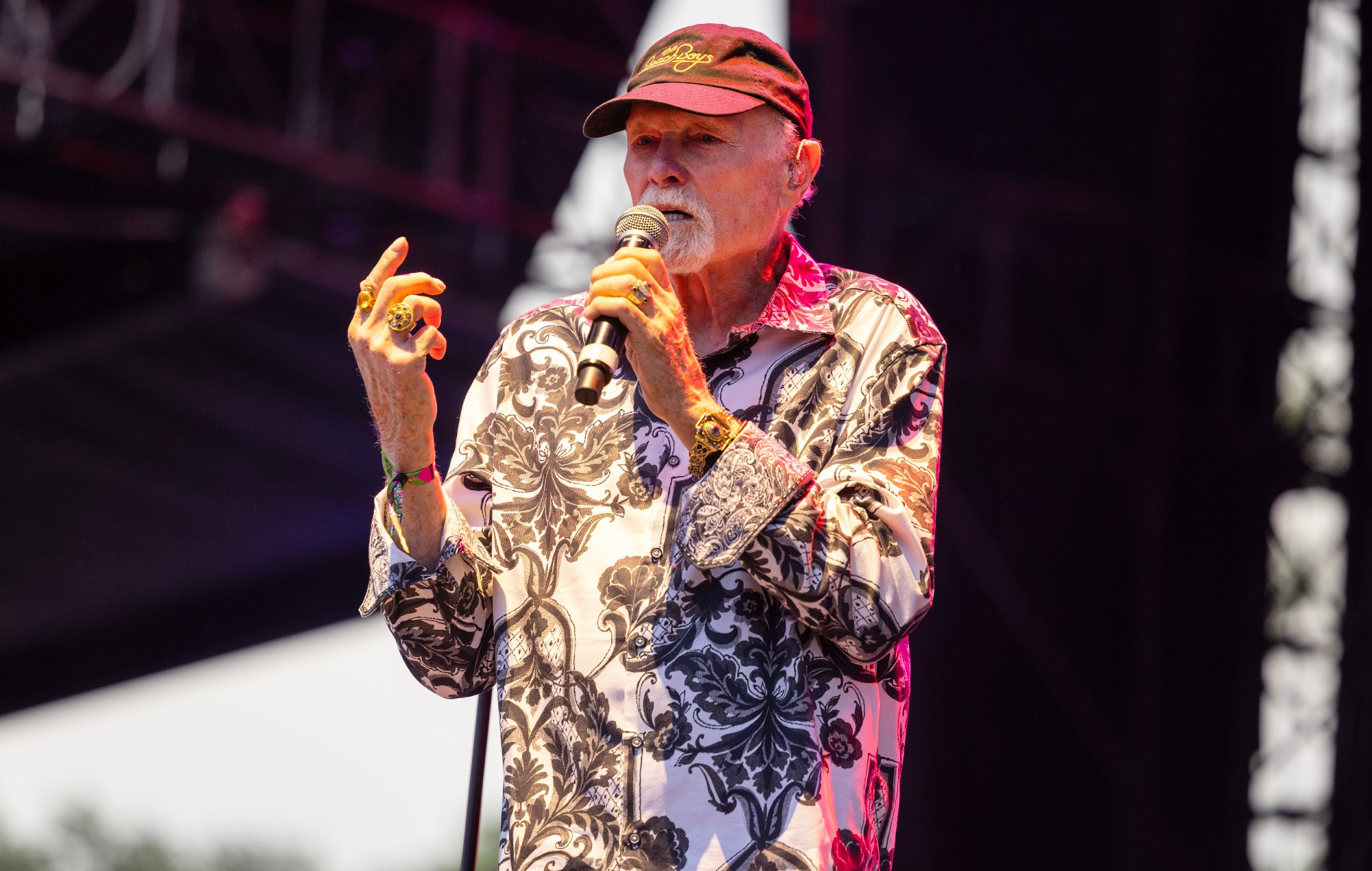 The Beach Boys Reschedule Tour Dates for Mike Love’s Recovery