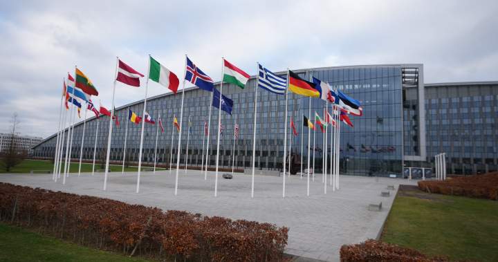 Canadian Intern Arrested for Spying at NATO HQ in Belgium