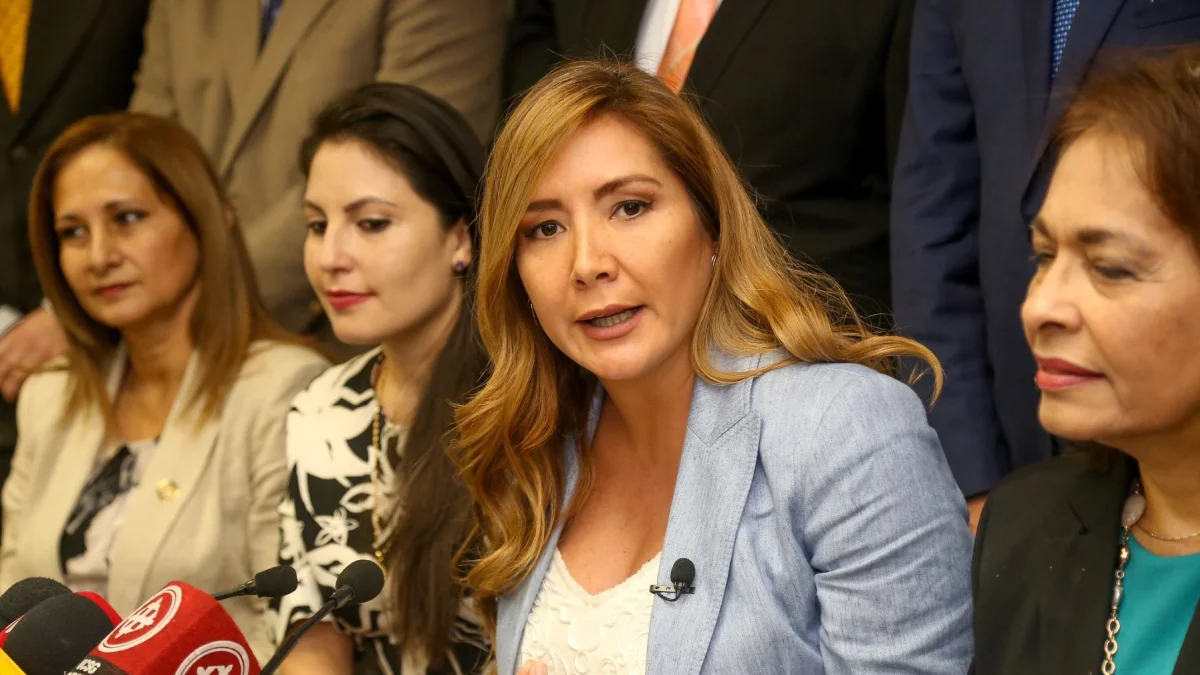 Dallyana Passailaigue rechaza ser candidata en elecciones seccionales de 2026