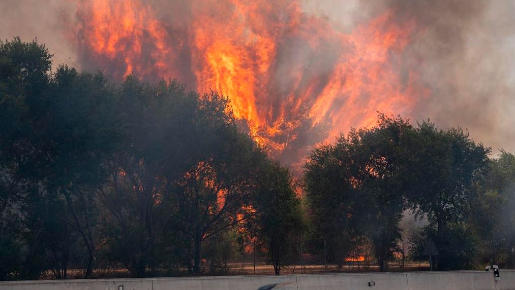 Portugal, Grecia e Italia apoyan extinción de incendios forestales en España