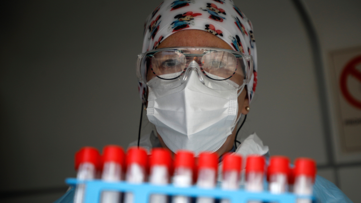 Nueve casos de Hantavirus confirmados en la Región de Los Lagos
