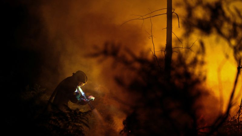 Mass Evacuations in France and Spain Amid Wildfires