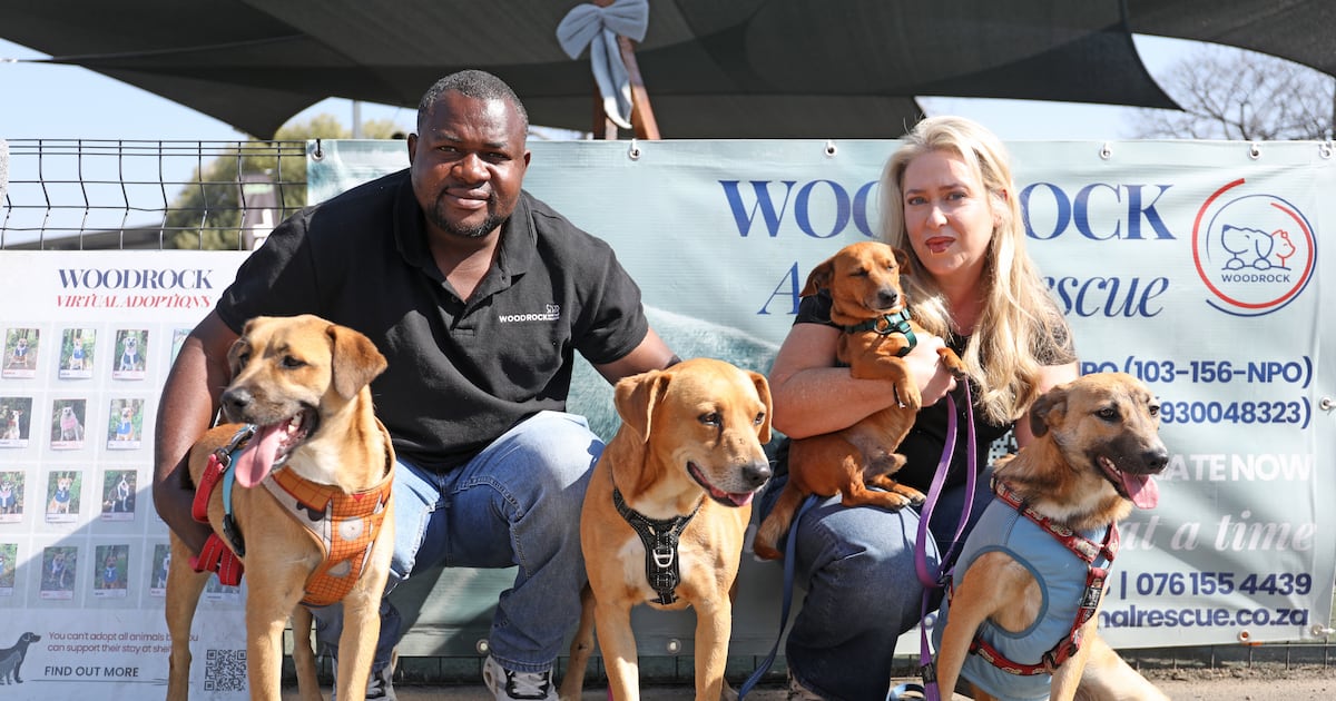 South Africans leaving pets behind as they migrate under Trump program