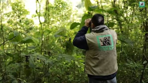 Conap denuncia retención ilegal de guardianes recursos en Parque Laguna Lachuá