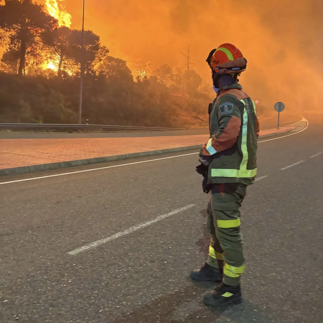 Vox critica políticas climáticas y pide desregulación de medidas contra incendios