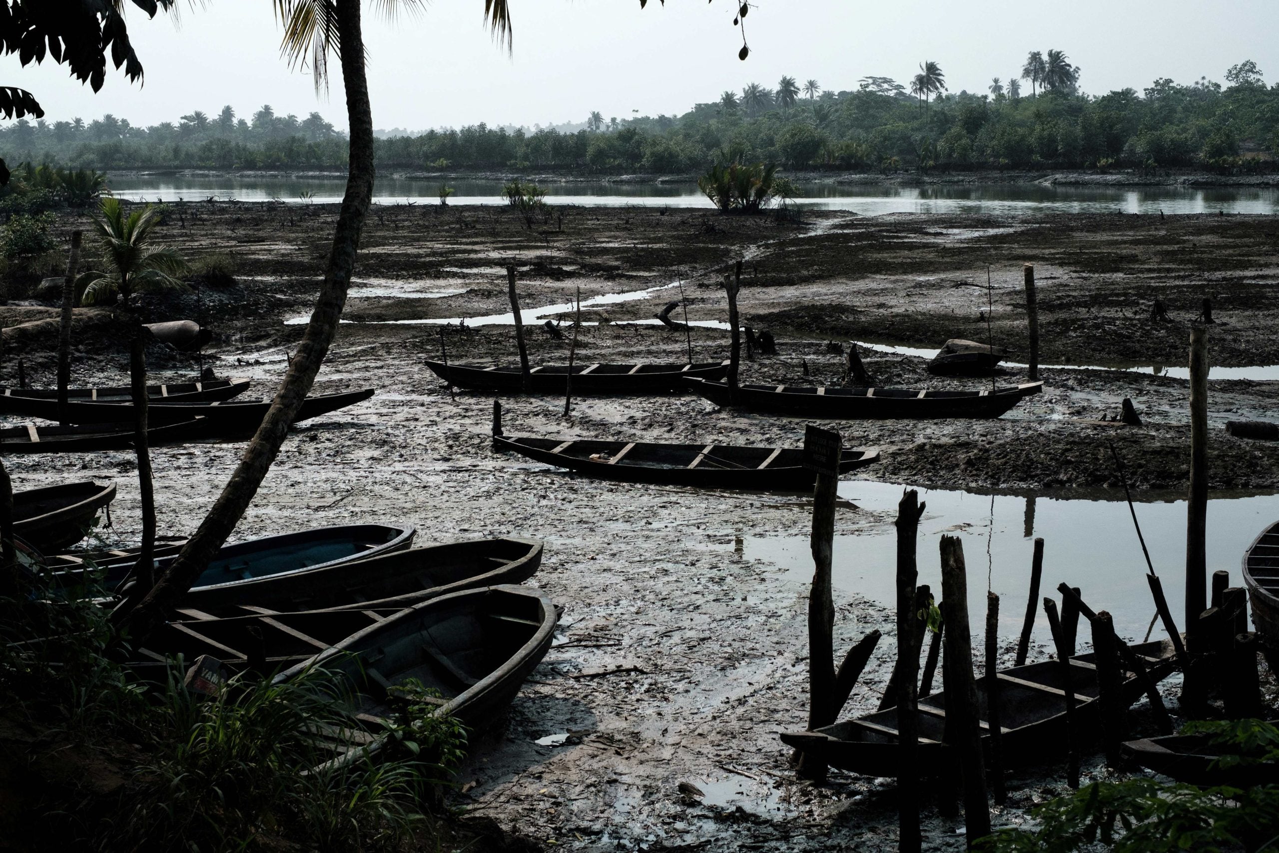 Environmental Damage and the Need for a Just Transition in Nigeria's Niger Delta