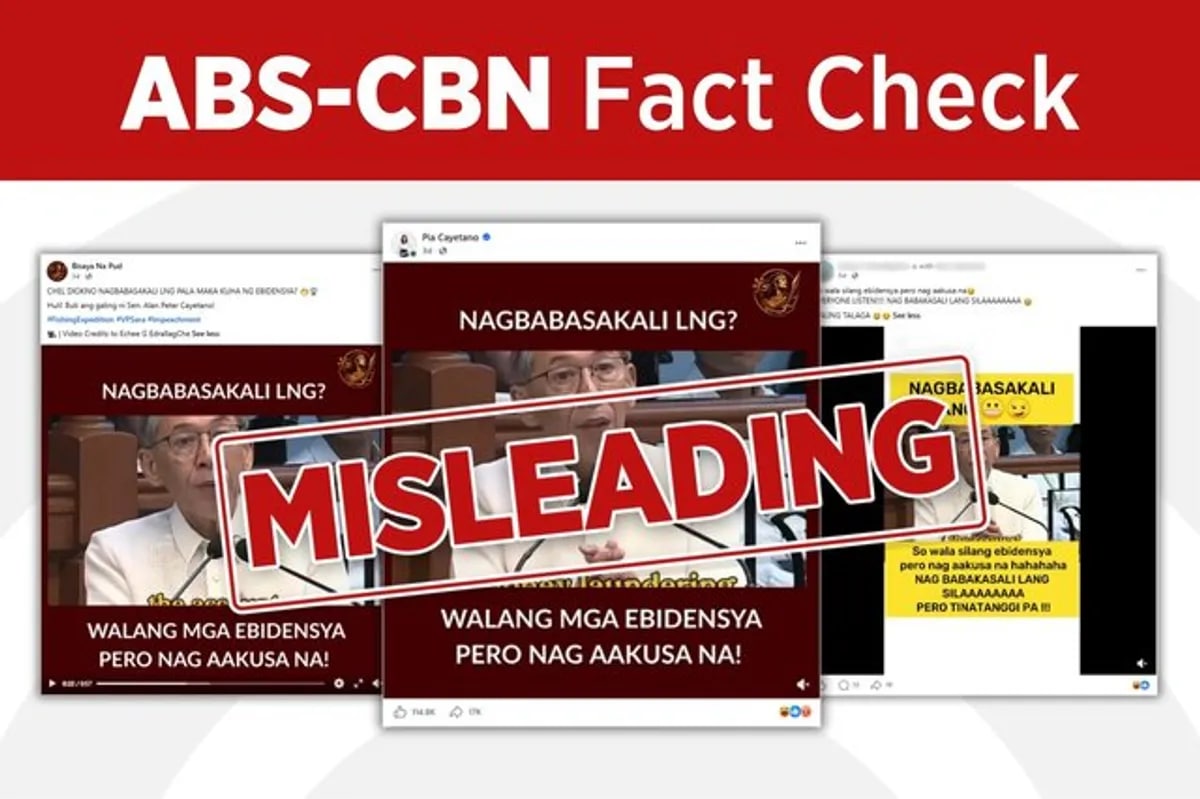 Fact-Check: Senator Pia Cayetano Shares Spliced Video of Chel Diokno