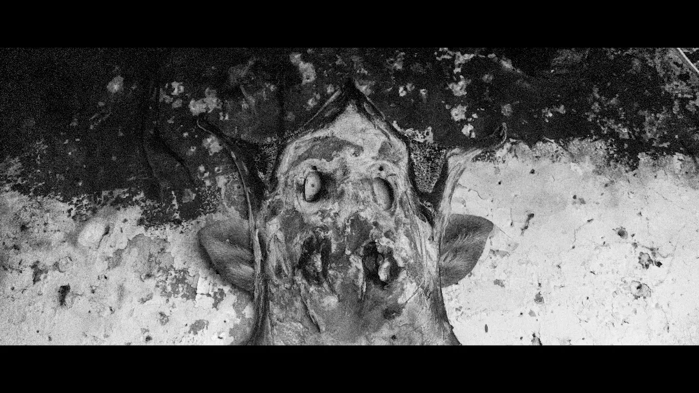 CRÓNICAS DE LA CARNE