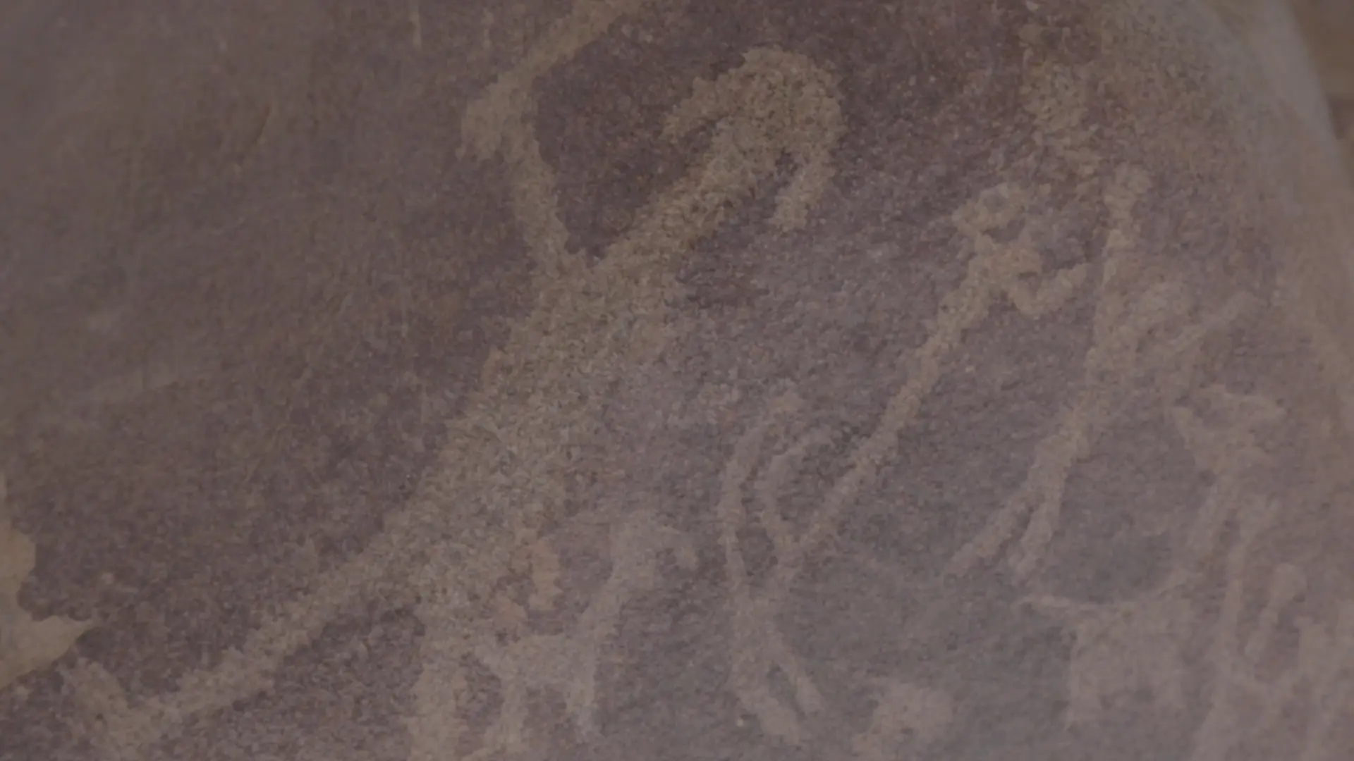 MANIFIESTO FÍLMICO; LA PARED