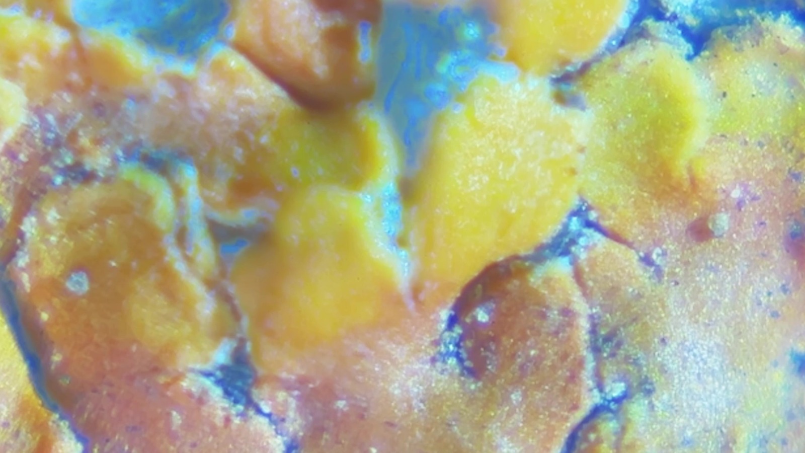 ¿Cómo olvidas a un dios?