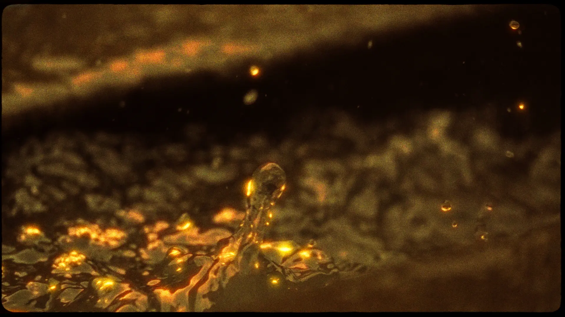 Anatomía de una Promesa