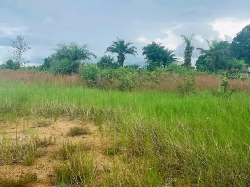 15 acres of dry land situated