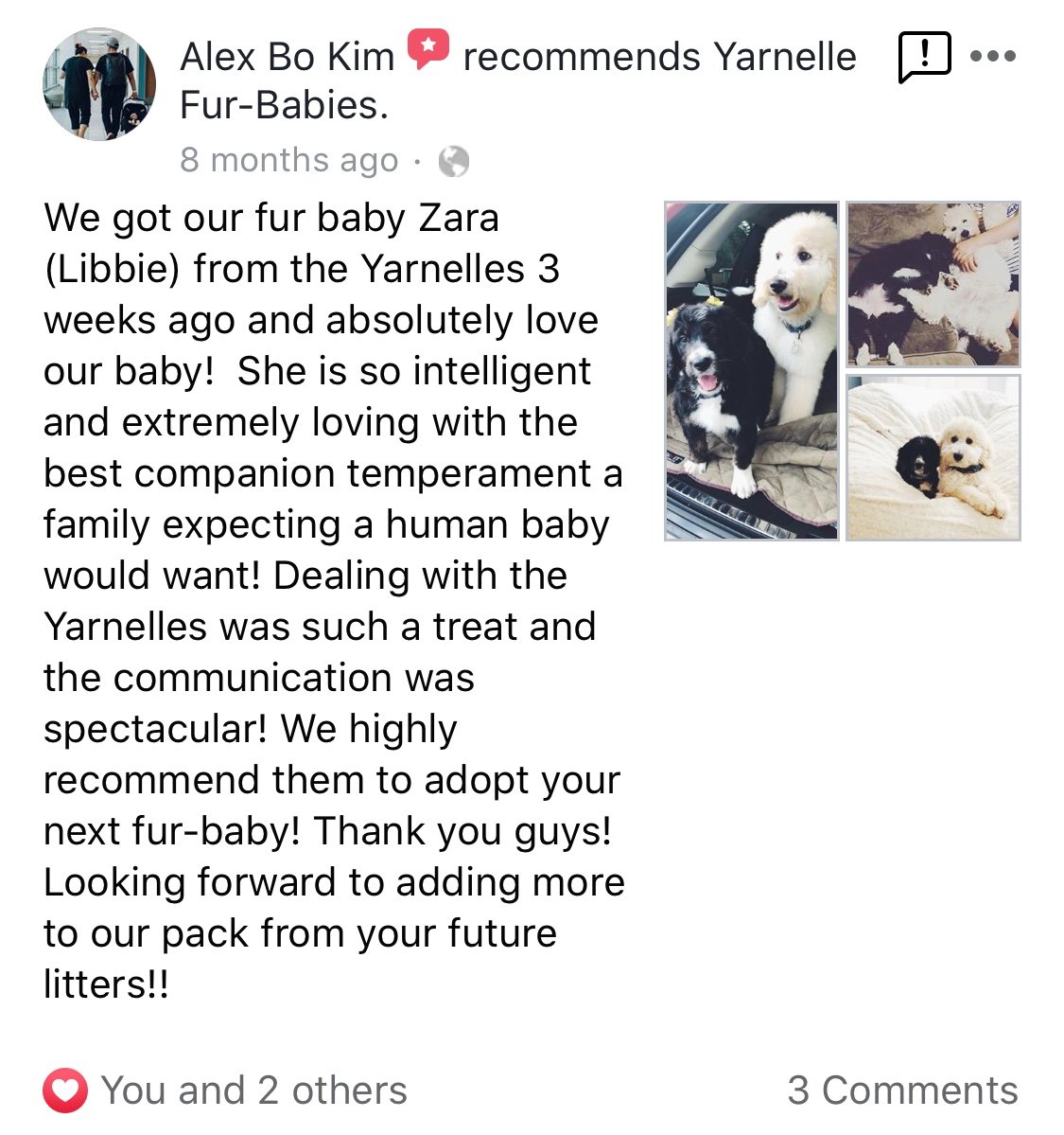 Review from Alex Bo Kim