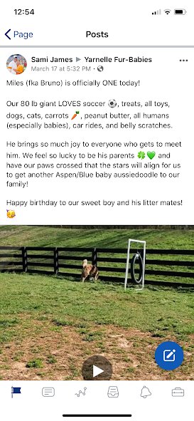 Review from Sami James