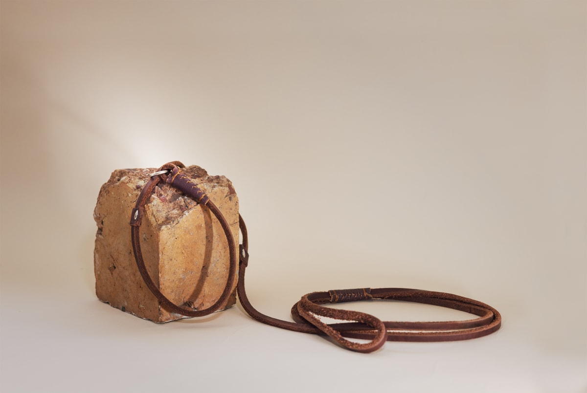 Leather dog leash product photography