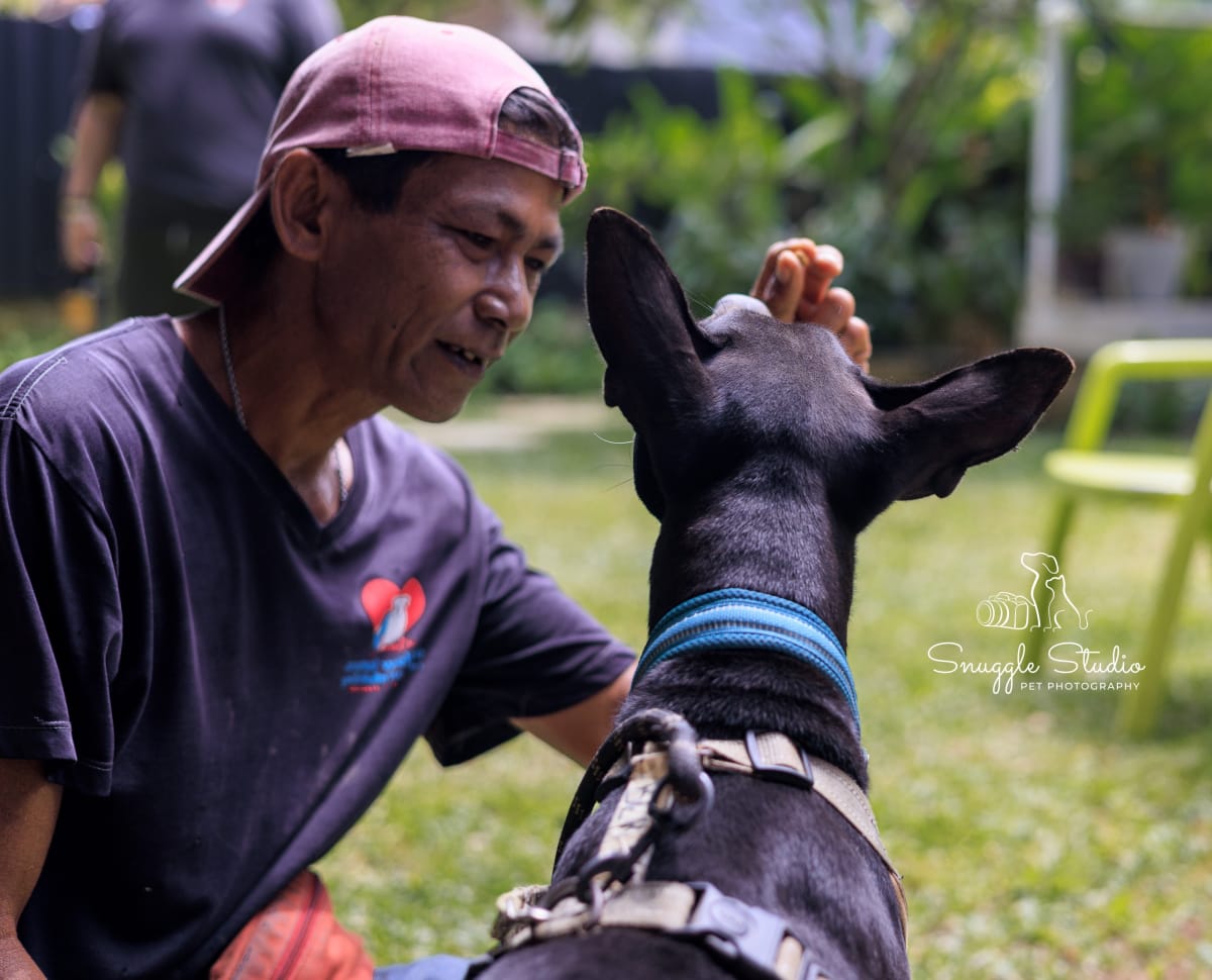 What Animals Taught Me About Culture and Compassion While Travelling