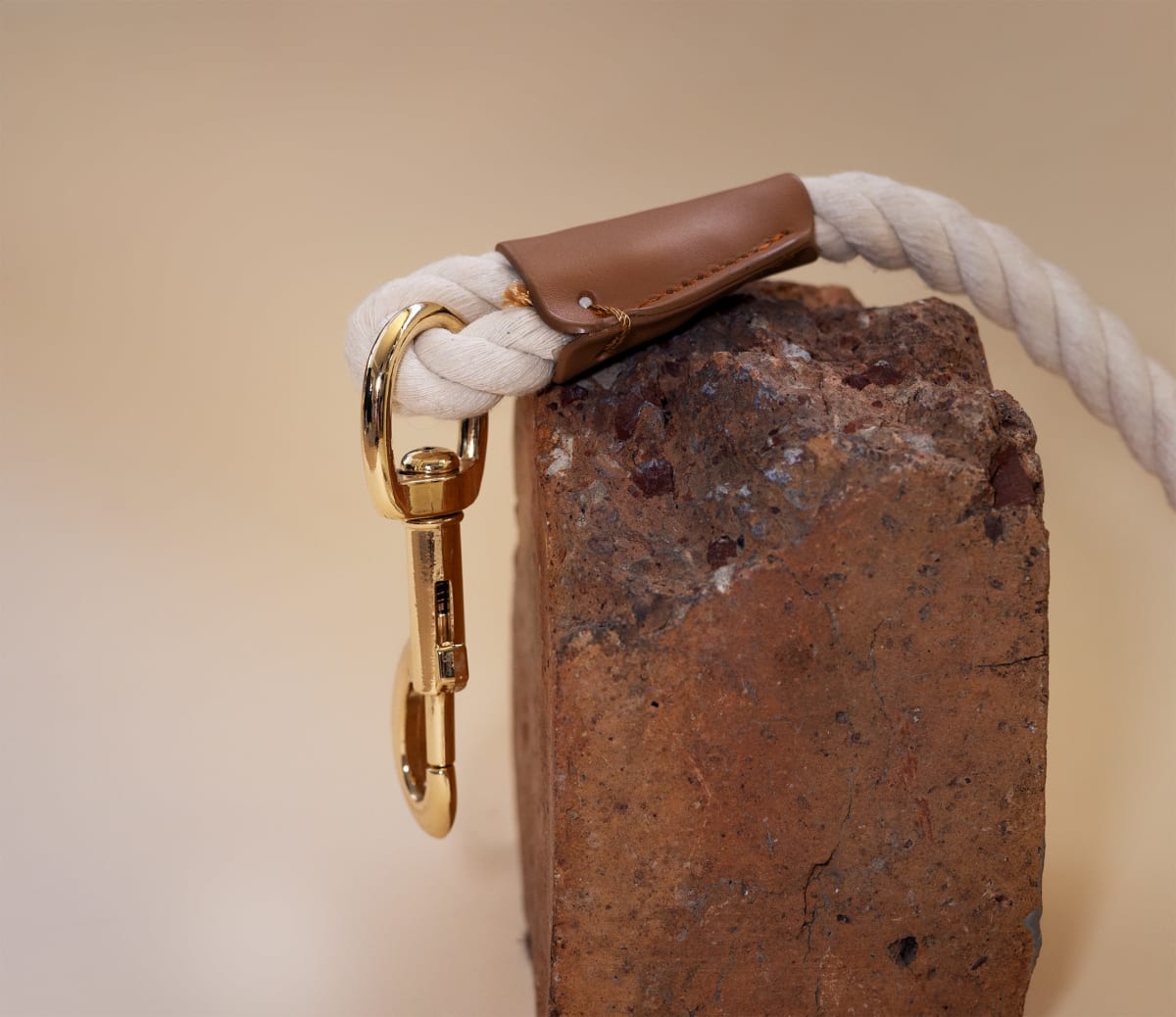 Commercial pet photography campaign shoot