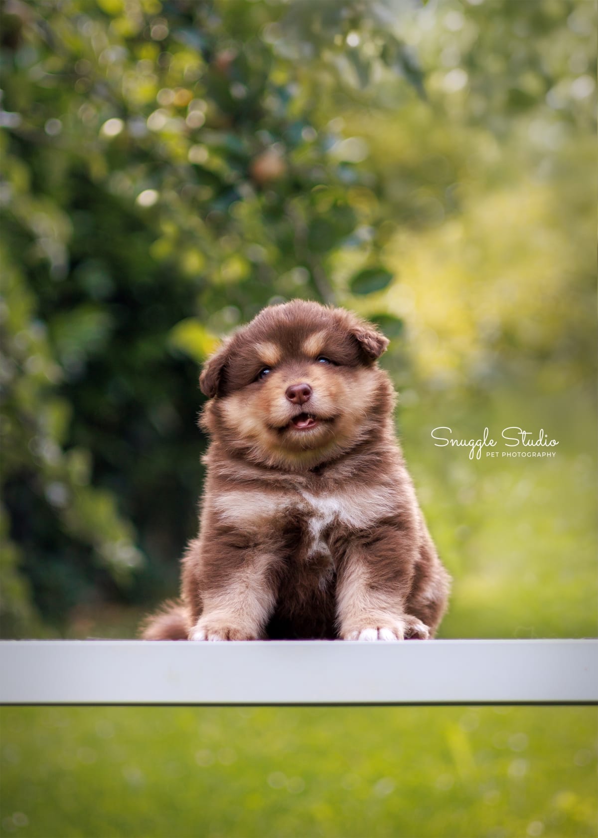 Close-up portrait of Zoe