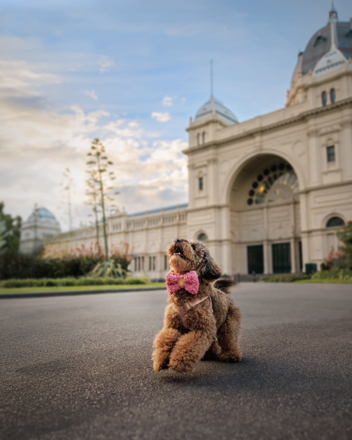 The Glimpse portrait session