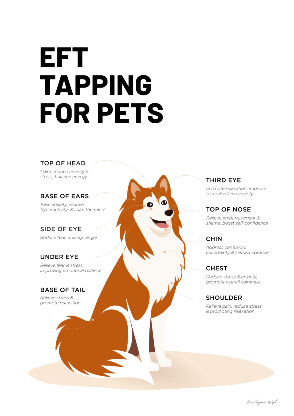 EFT tapping points for pets - a visual guide showing where to tap on your dog