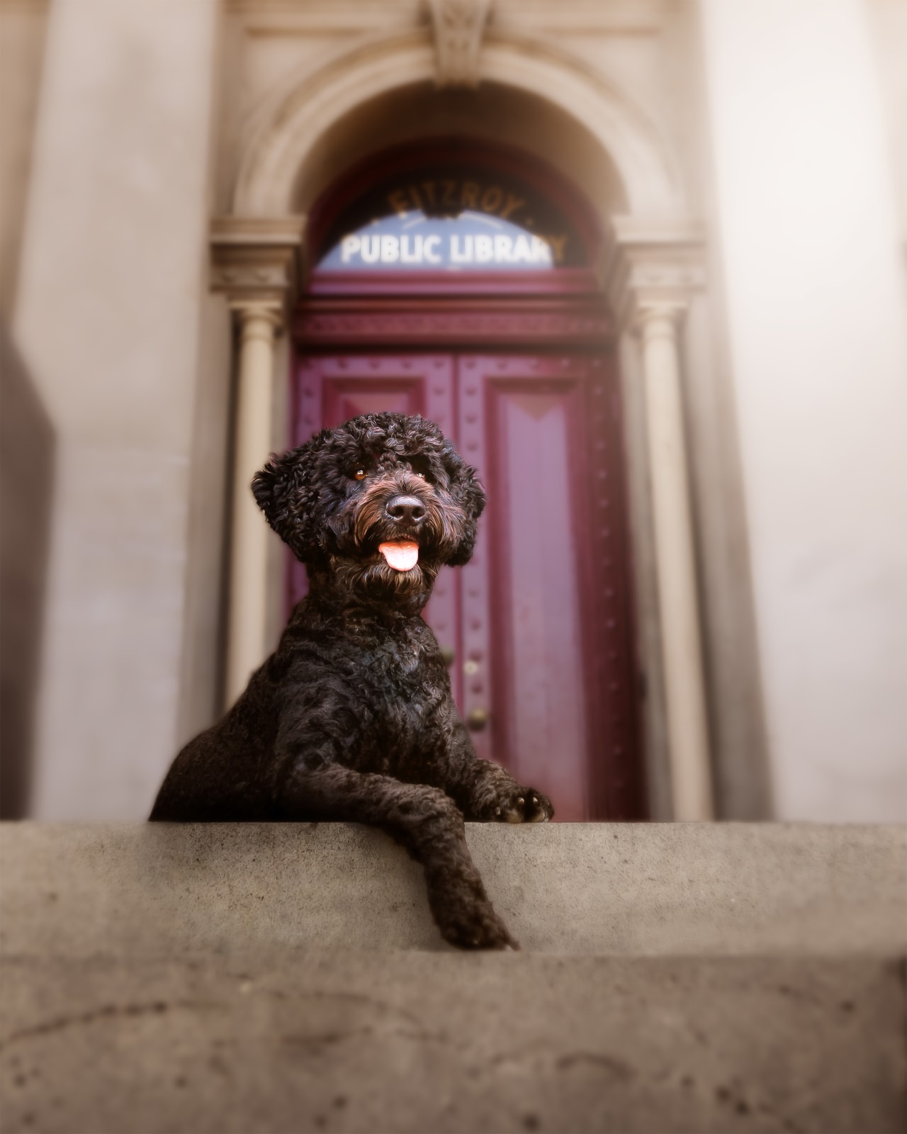 Carlo in Fitzroy, December 2024