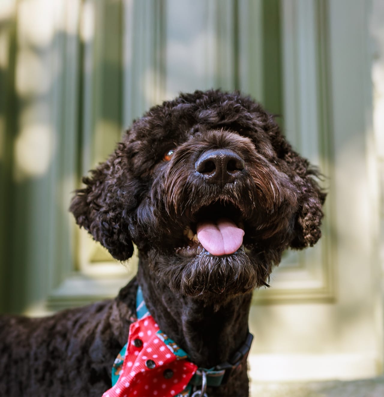 Carlo at a Fitzroy doorway