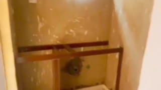 1 Bedroom Apartment for rent in Shomolu , lagos thumbnail 3